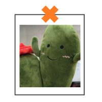 Kawaii knuffel plantje cactus naturel